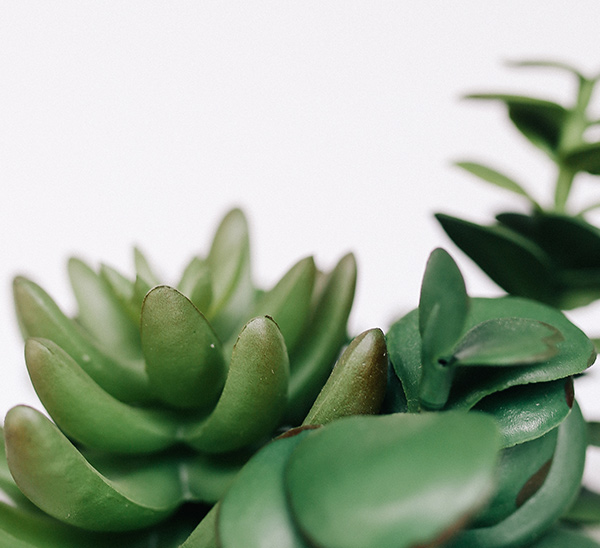 shop-2-img-gallery-1