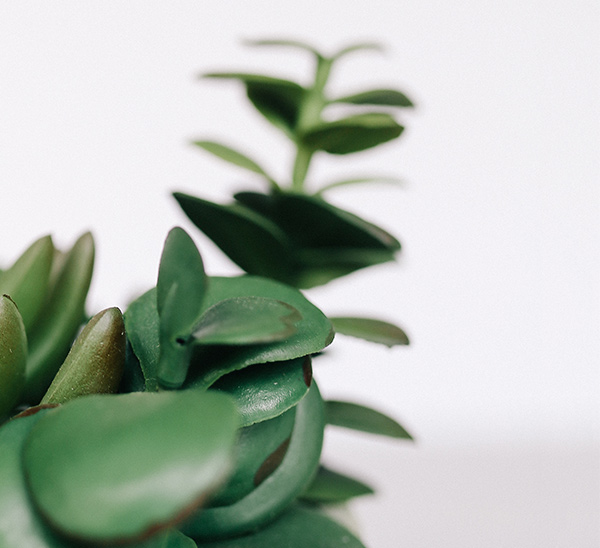 shop-2-img-gallery-2